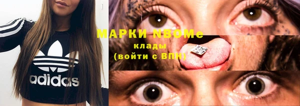 spice Ельня