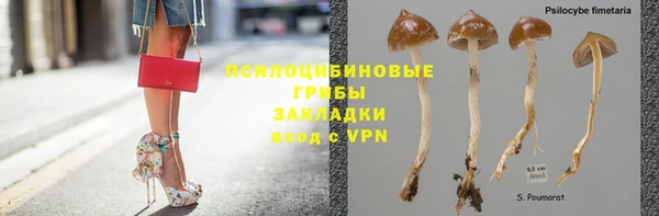 стаф Белоозёрский