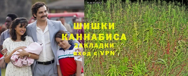 стаф Белоозёрский