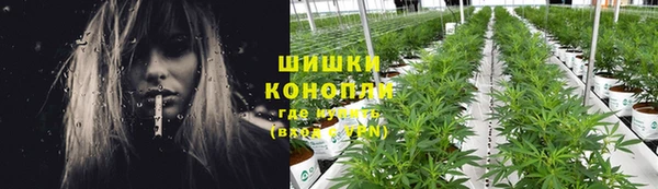 a pvp Белокуриха